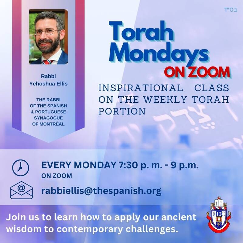 Banner Image for Torah Mondays