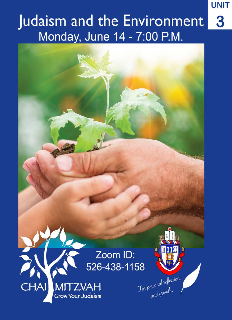 Banner Image for Chai Mitzvah Program - Unit 3: Judaism and the Environment