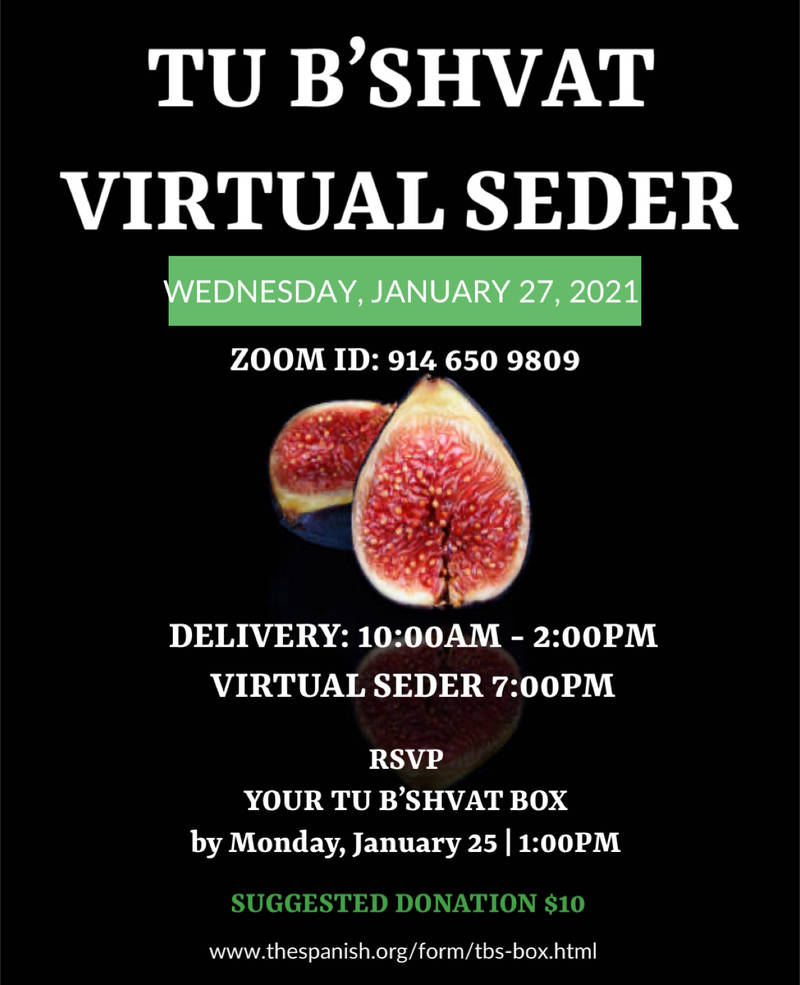 Banner Image for Tu B'Shvat Virtual Seder